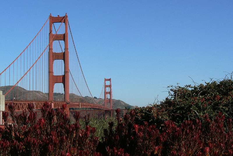 14 Golden Gate SAN FRANCISCO